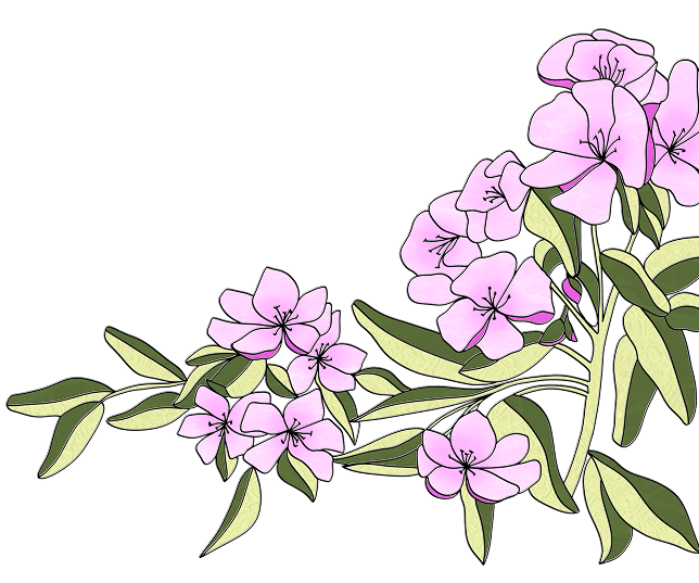 Decoration