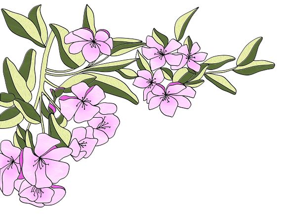 decorative element 1