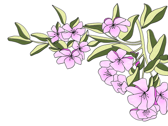 decorative element 2