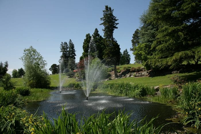 Washington Memorial cemetery water feature in SeaTac