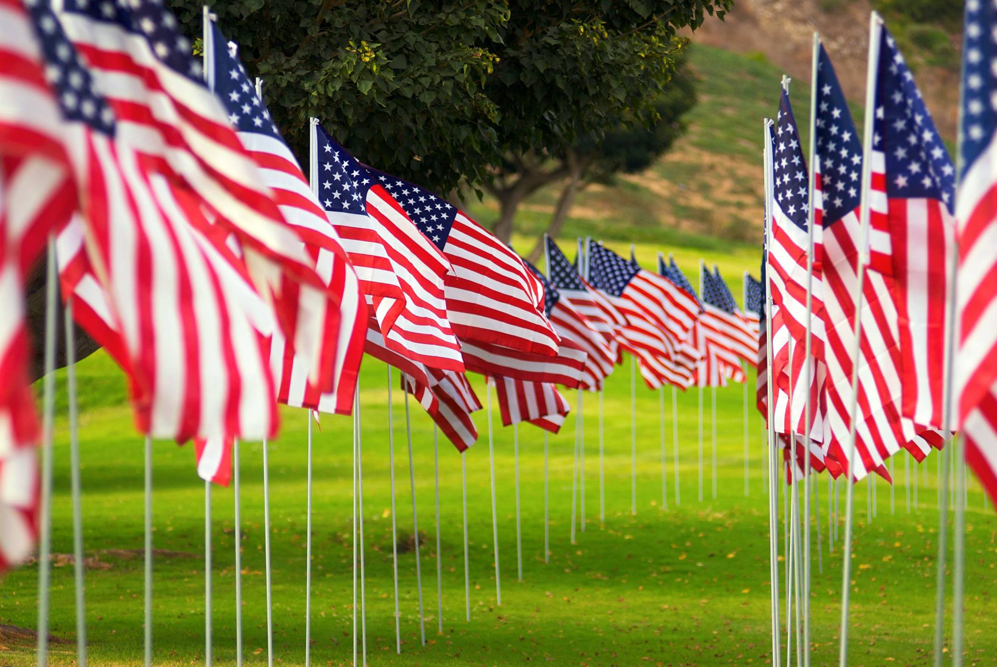 a memorial day with an abundance of American flags