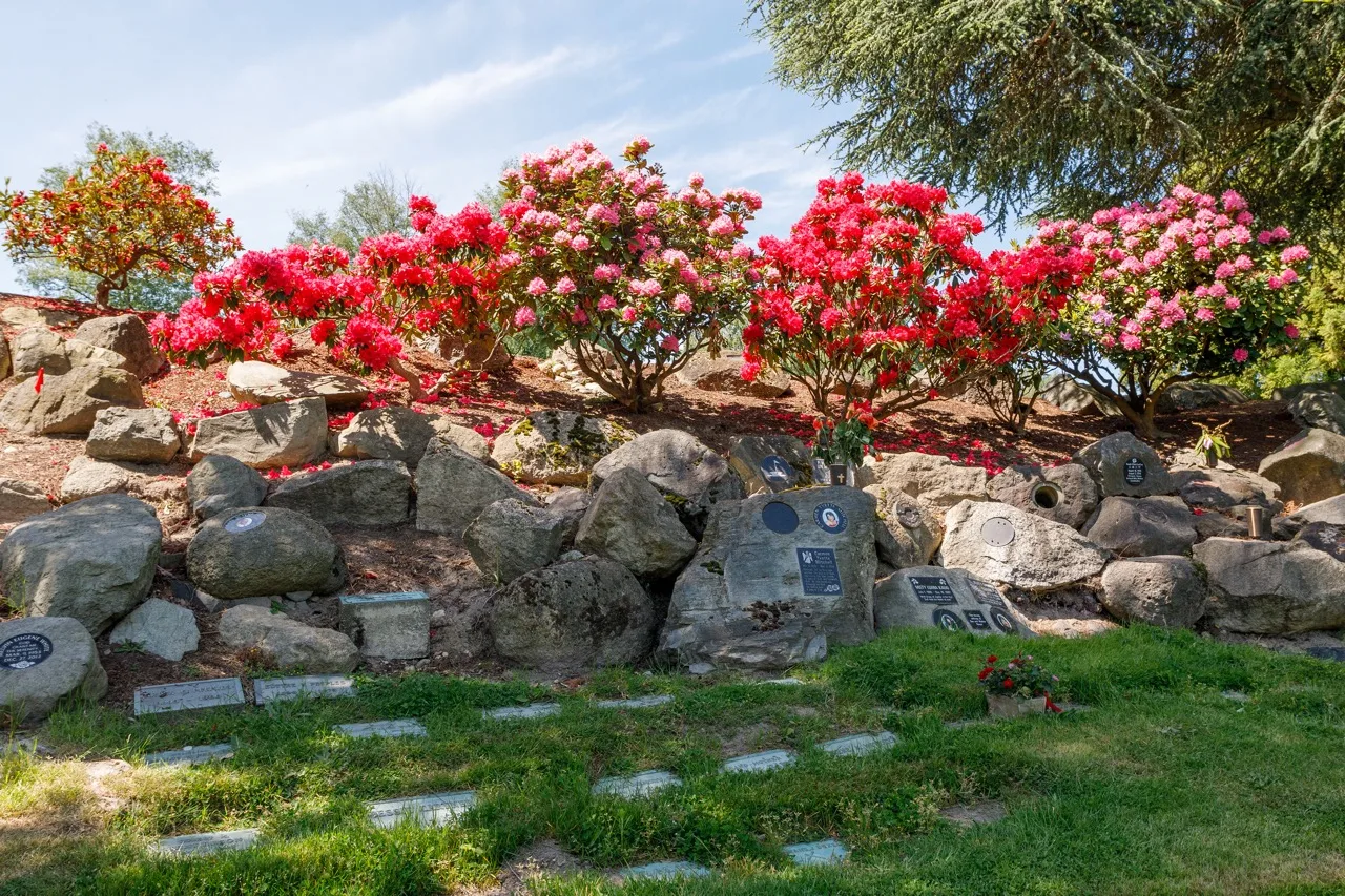 Headstones among boulders and carnations on shady hillside