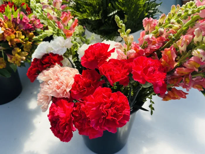 A black vase filled with vibrant red, light pink, and white carnations, surrounded by other colorful flowers and greenery in the background, all displayed on a white surface.