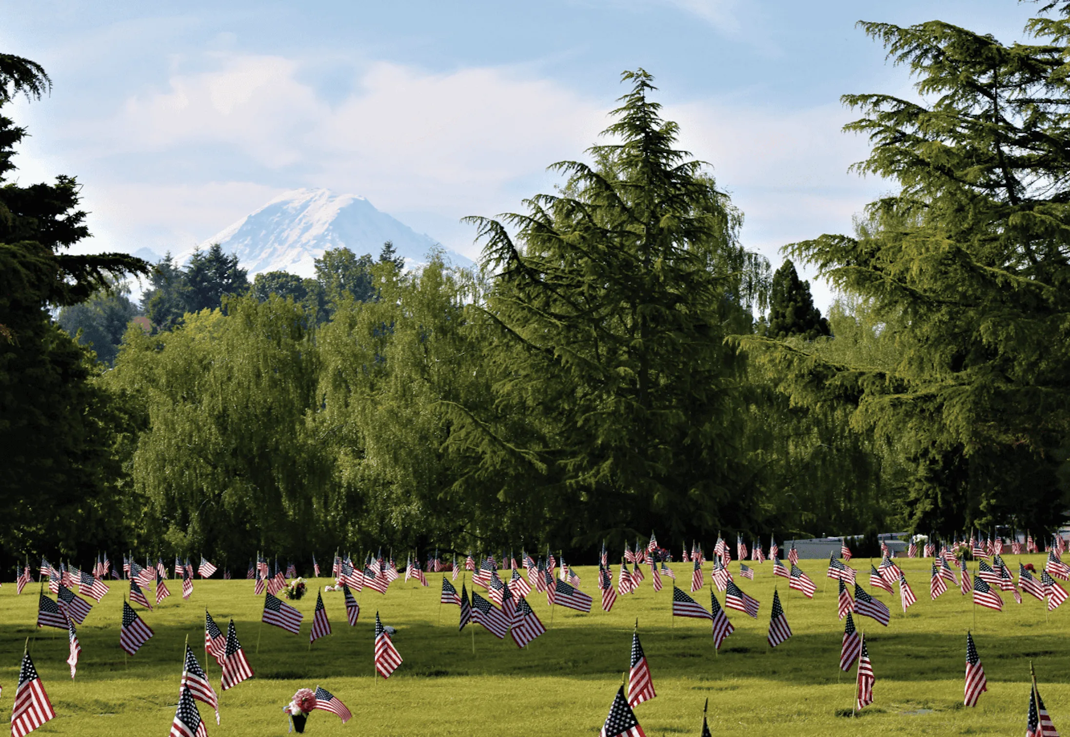 A grassy cemetery is covered with numerous small American flags, surrounded by tall green trees. In the background, a snow-capped mountain rises against a partly cloudy sky.